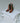 Elsa Brown Squared Heel Boots