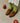 Lea Brown Moccasins